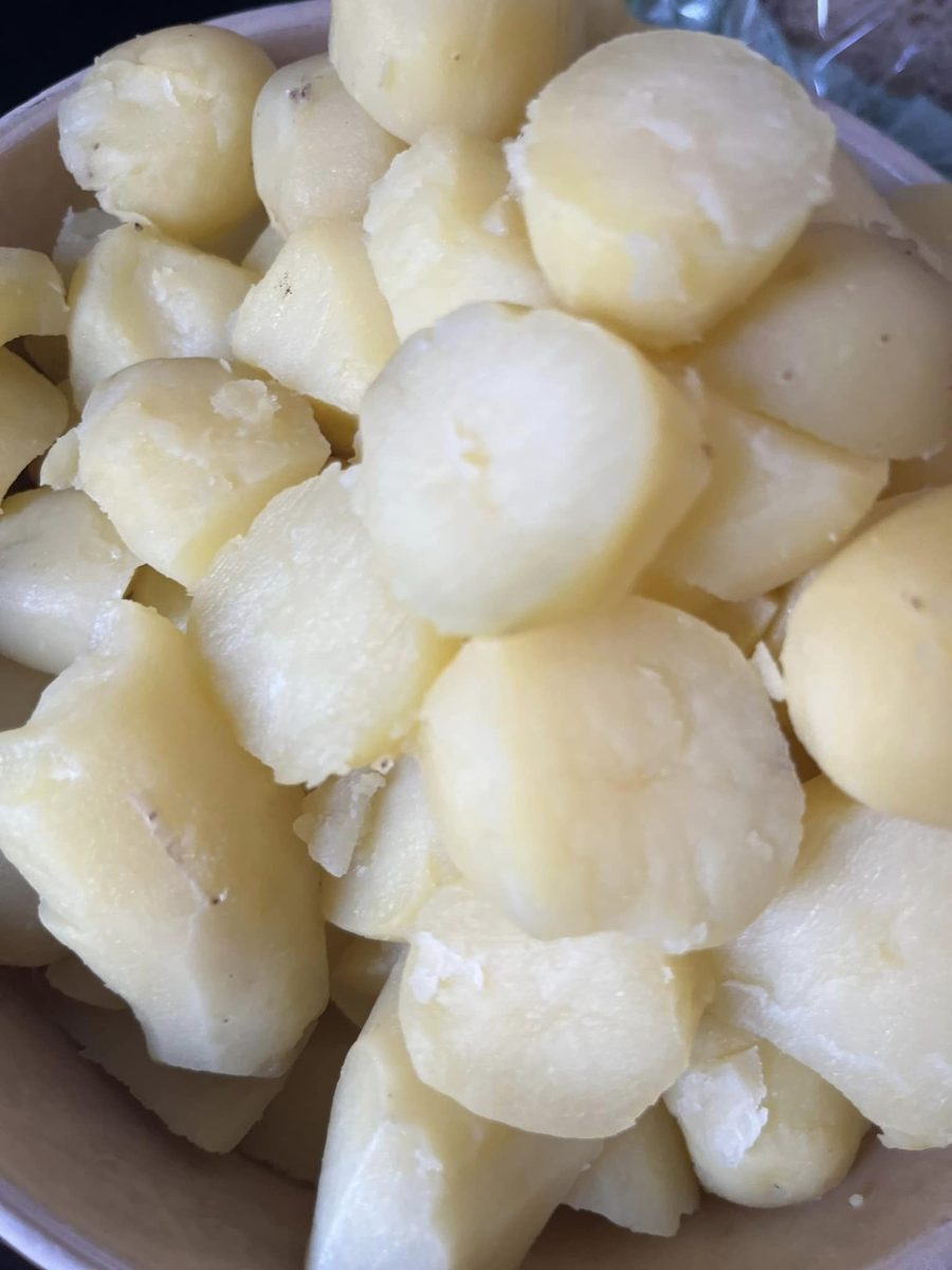 Pommes de terre — Édition 2023